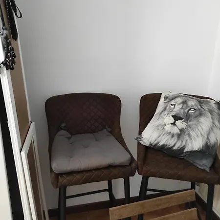 Da Felicia & Fabrizio Guest house Rome