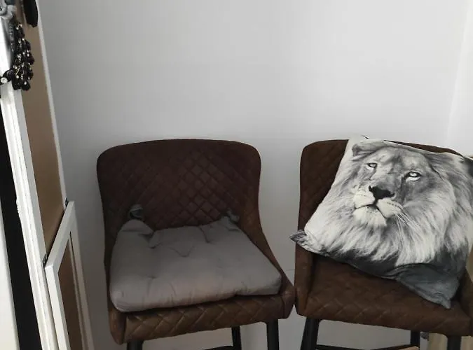 Da Felicia & Fabrizio Πανσιόν Ρώμη