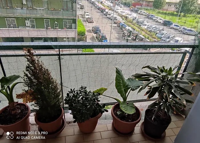 Πανσιόν Da Felicia & Fabrizio