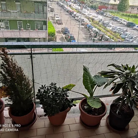 招待所 Da Felicia & Fabrizio